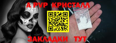 стаф Донской