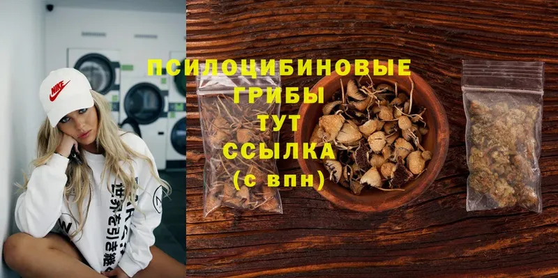 Псилоцибиновые грибы Magic Shrooms  Кстово 