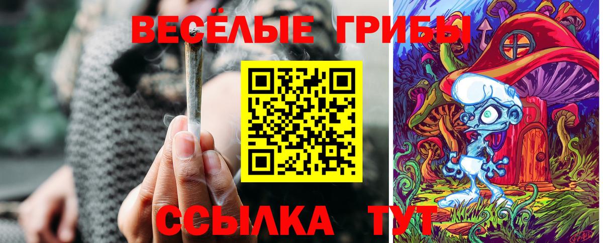 Галлюциногенные грибы мицелий  Вход с VPN  Кстово 