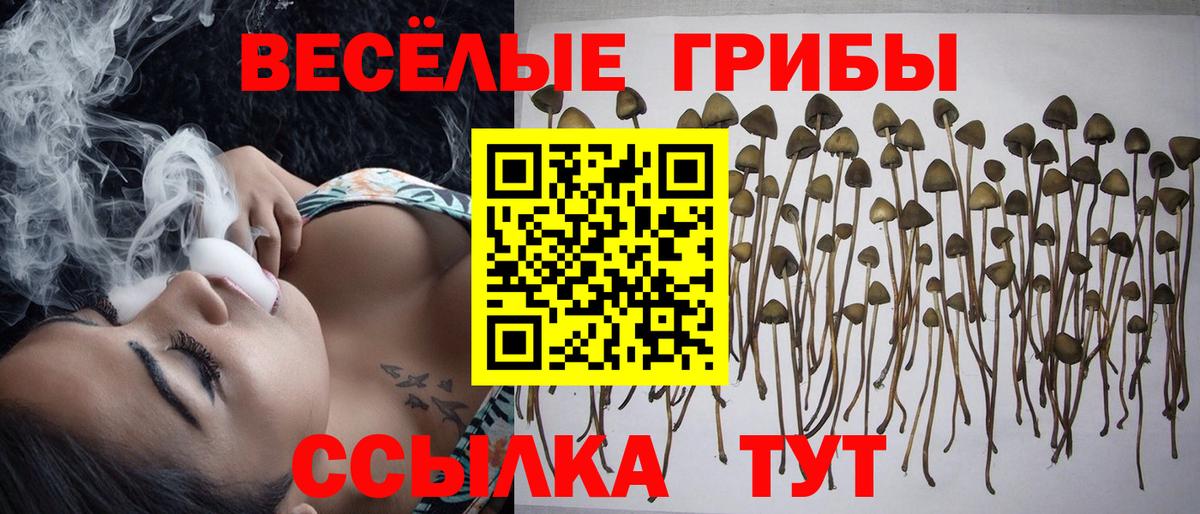 Галлюциногенные грибы ЛСД Кстово